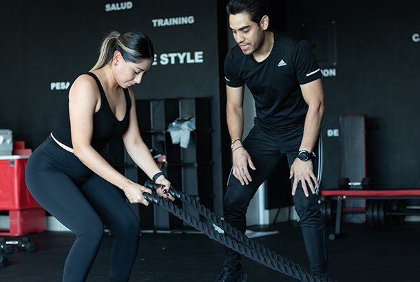 vf29 foto 610x410 -02