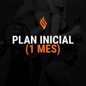Plan Inicial (1 mes)