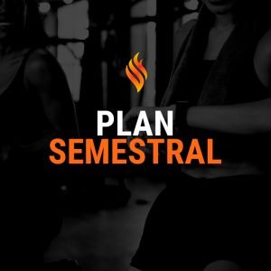 Plan Semestral