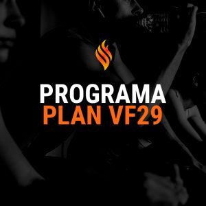 Programa VF29