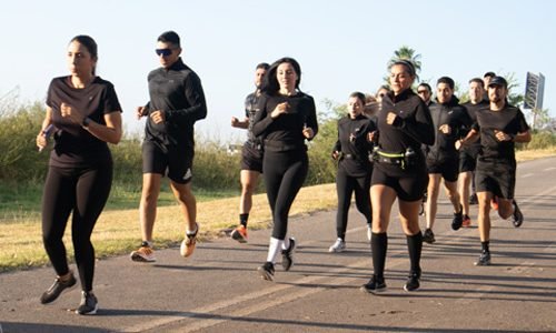 vf29 foto 500x500 -01