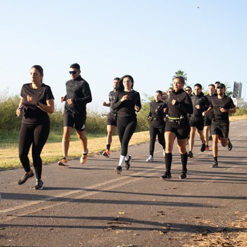 vf29 foto 500x500 -01