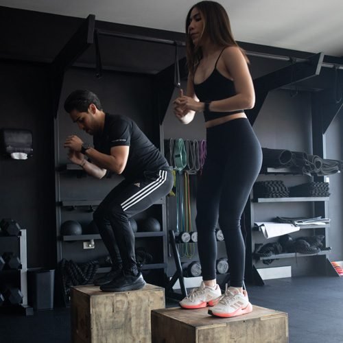 vf29 foto 500x500 -02